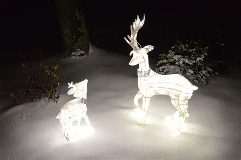 4" LED Glitter String Fawn Novelty Sculpture <b>Light</b> Pure White Twinkle. . Target christmas lights